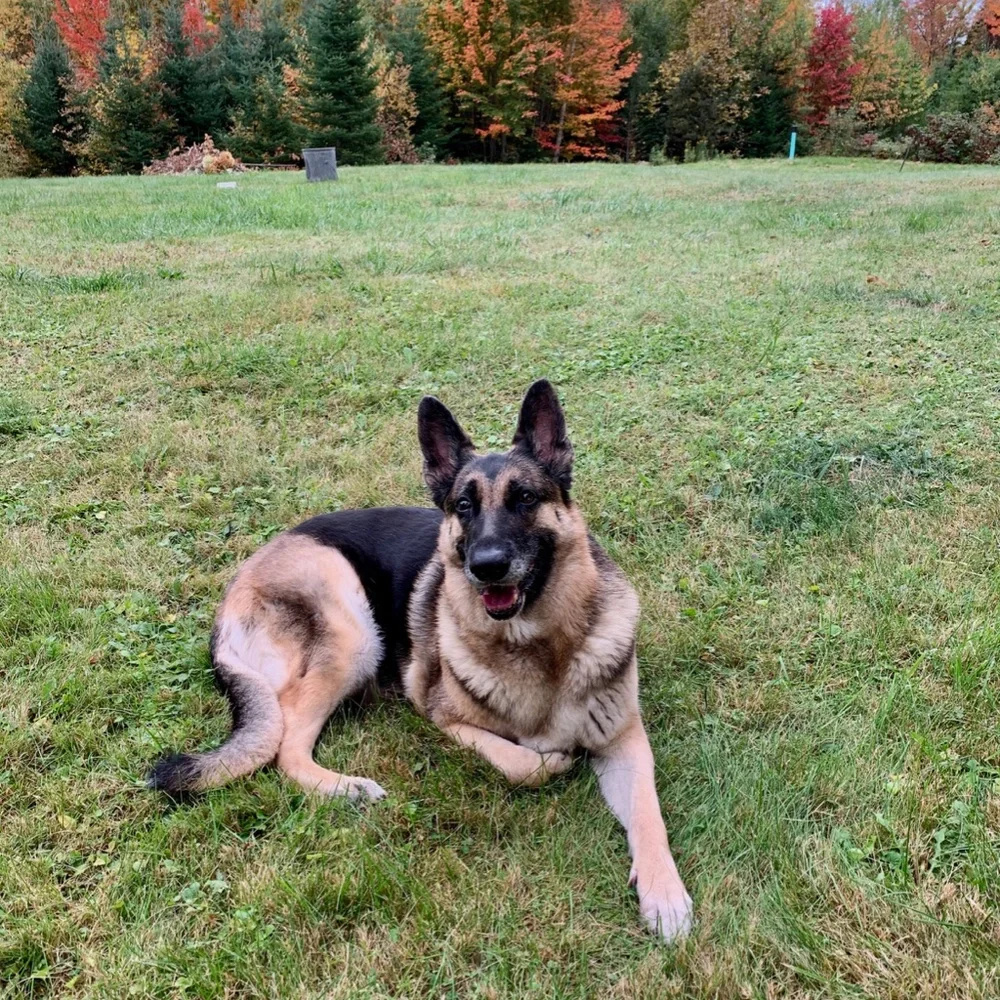 ! diane - Picture 3 of 9